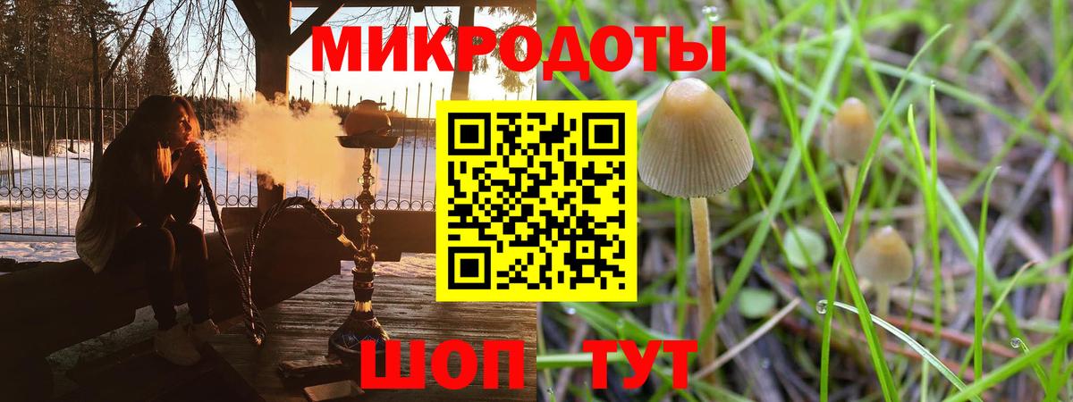 Псилоцибиновые грибы прущие грибы Долгопрудный