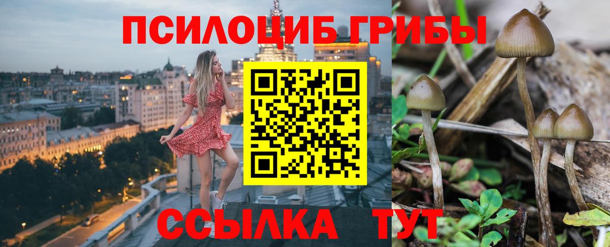 купить наркотики сайты  Вход с VPN  Долгопрудный  Галлюциногенные грибы ЛСД  Псилоцибиновые грибы мухоморы 